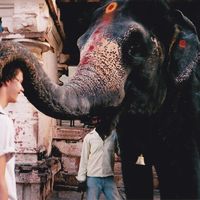 Olly Porter的照片