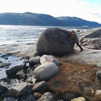 Roxane L'Allier的照片