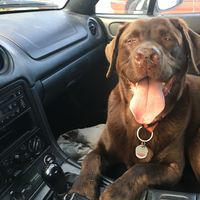 Aleksandra Grippo的照片