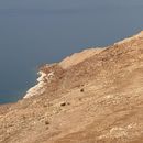 Roadtrip To The Dead Sea's picture