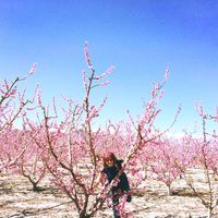 lolica lagorchola的照片