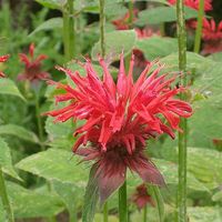 Marianne Dallaire's Photo