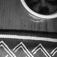 Rachel  Curtis's Photo