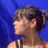 Luz Ramirez Guanche的照片