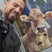 Fotos de Hector Araujo Sarmiento