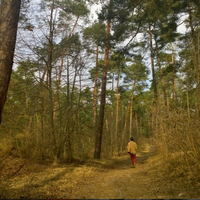 Zaphran Muskat的照片