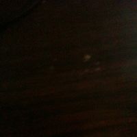 Francesca Visocchi's Photo