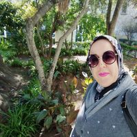 Laila laila的照片