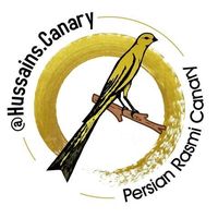 Husain Alshaikh's Photo