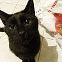 Photos de Ildi Szalma