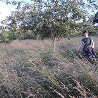 Dylan Inglis的照片