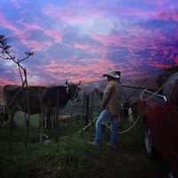 Фотографии пользователя Roberto Martínez