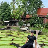 shady hassan's Photo