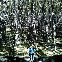 Karen Rappard's Photo