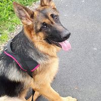 ALEXANDRA Chakouri's Photo