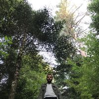 Fotos de David Kupradze