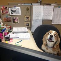 Trish McNerny's Photo