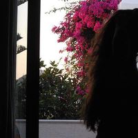 Vasiliki Kous's Photo