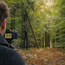 Aperture Among the Trees's picture