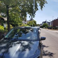 Ayman Shafik's Photo