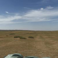 Alessio Rossini的照片