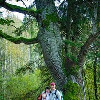 Denis Ermolovich's Photo