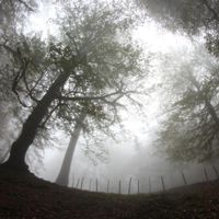 Mahsa Baharlou's Photo