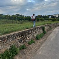 Mahdi Bangian的照片