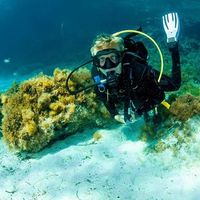 James Phipps's Photo