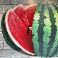 Фотографии пользователя Yoli Isa