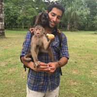 Fotos de Meidan Yacovi