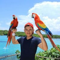 Levy Urbano的照片