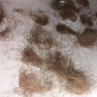 Carolin Wendt的照片