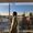 Camilo Paez's Photo