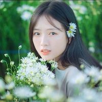 halinh nguyen's Photo