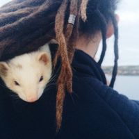 Photos de Mitya  Evstifeev