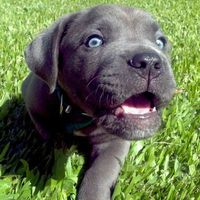 Juan Arriola's Photo