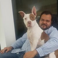 Fotos de sergio Camacho Santo