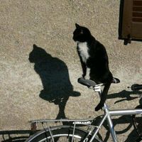 Raul Solano的照片