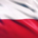 Polish Night 's picture