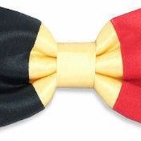 Antoine Bruxelles's Photo