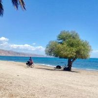 Vincent Martin's Photo