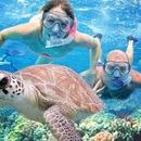 Dimaniyat Island's picture