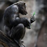 Özgün Sütemen's Photo