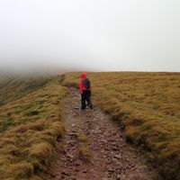 Catherine Wallin的照片