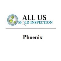 Mold Testing & Inspection Phoenix -  Mold Removal & Remediation的照片