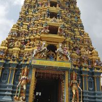 Ashkan Lotfi's Photo