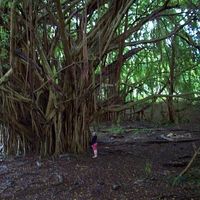 Allison Marie's Photo