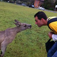 Alejandro Sampere Girona的照片