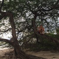 Chantal Marcionetti的照片